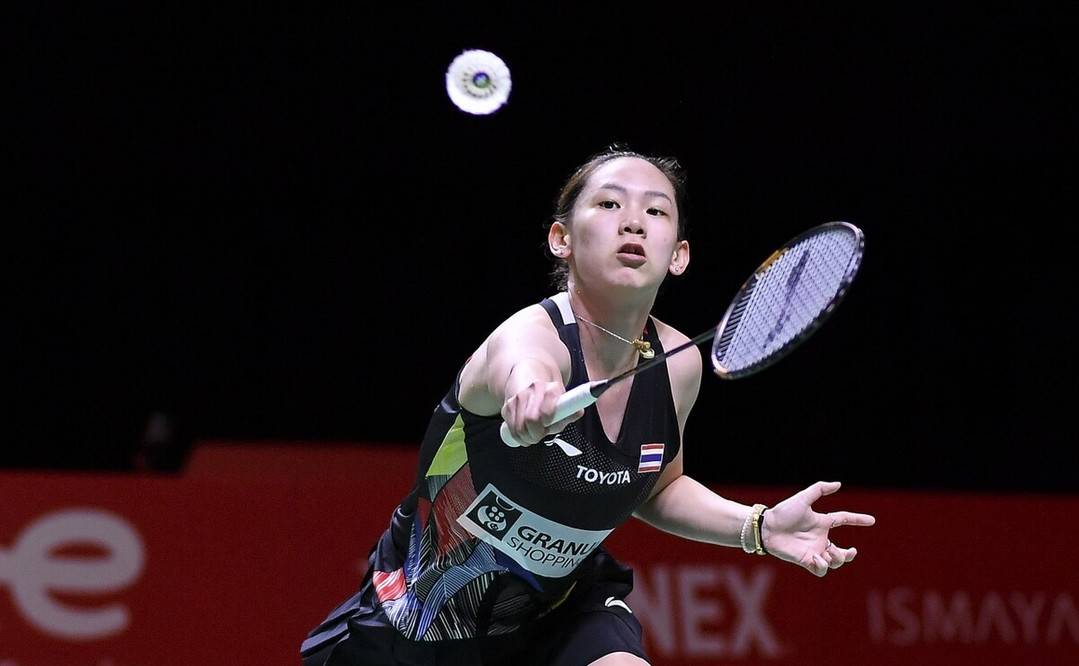 现了细致的 现了细致的